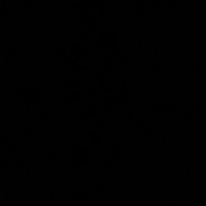 Meet your Posher, Ryder